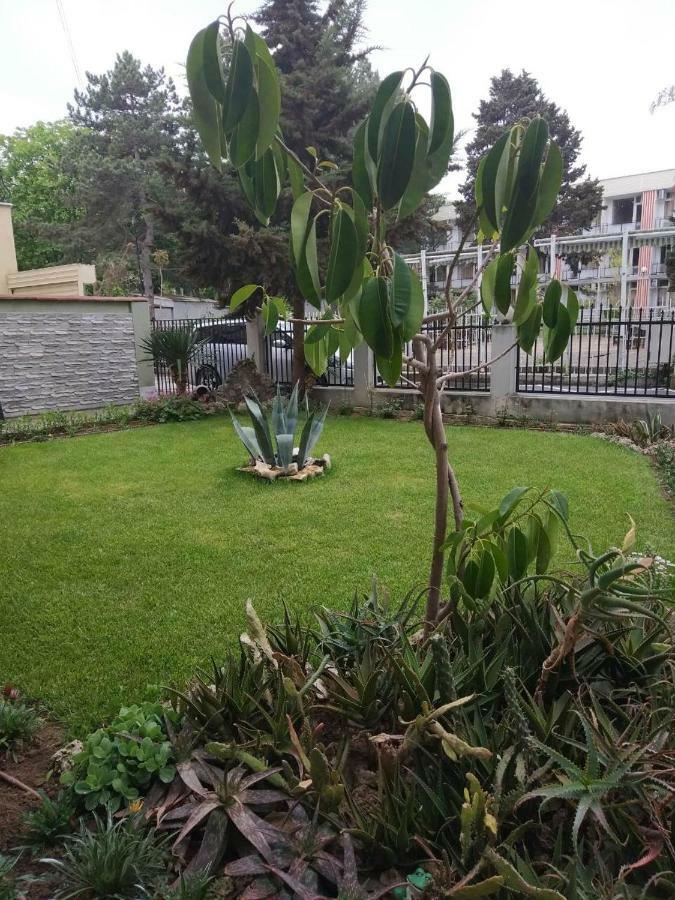 Guest House Alkor Obzor Ngoại thất bức ảnh